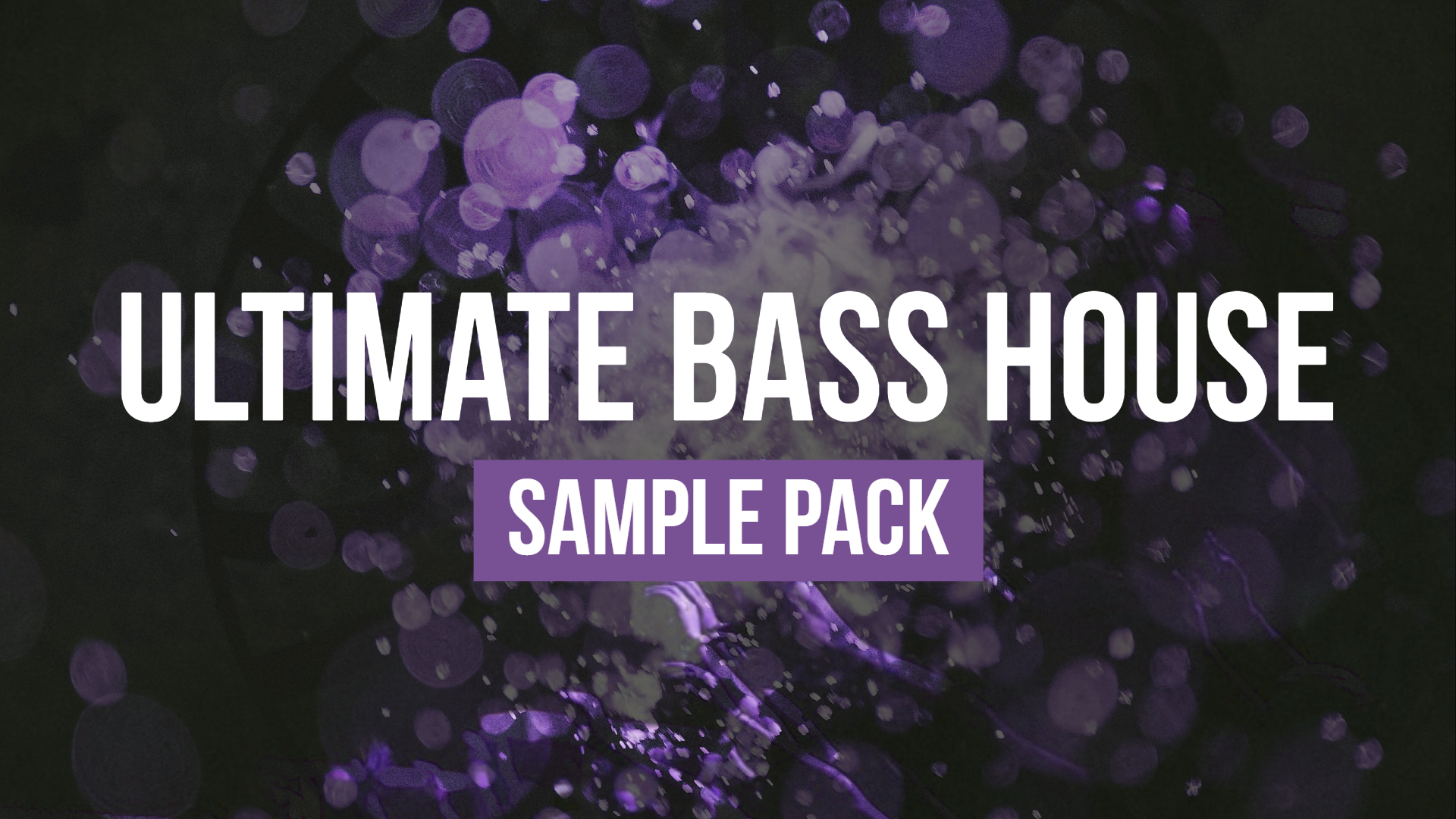 House Bass Sample. Dabro Music - Bass House Vol.7.